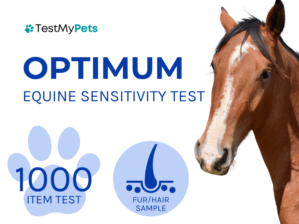 Equine Optimum Test