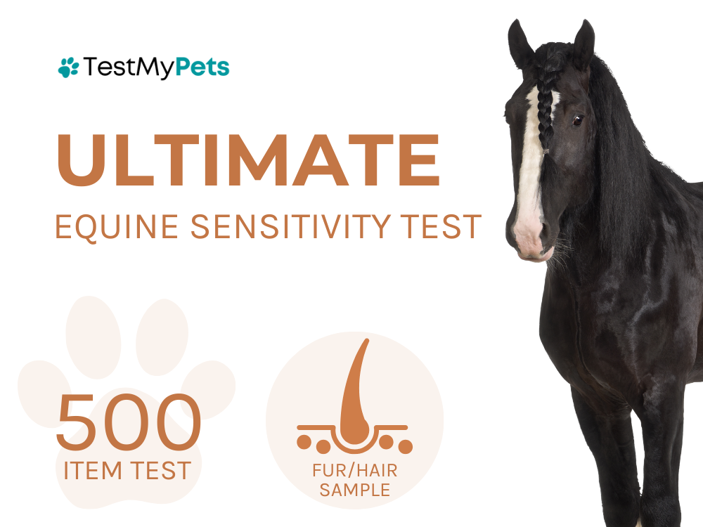 Equine Ultimate Test